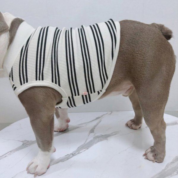 画像11: フレブル 服 フレンチブルドッグ  ボーダー袖なし Tシャツ 春夏秋冬 L XL 2XL 3XL 4XL 5XL イングリッシュブルドッグ  パグ ペット服 犬服 フレブル  即日発送出来ます (11)