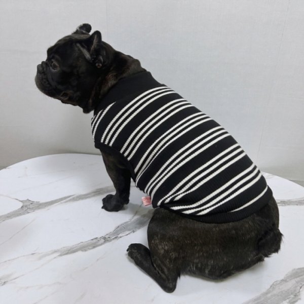 画像37: フレブル 服 フレンチブルドッグ  ボーダー袖なし Tシャツ 春夏秋冬 L XL 2XL 3XL 4XL 5XL イングリッシュブルドッグ  パグ ペット服 犬服 フレブル  即日発送出来ます (37)