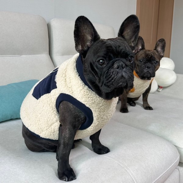 画像19: フレブル 服 フレンチブルドッグ  ポケット ボア 袖なし Tシャツ 冬 L XL 2XL 3XL 4XL 5XL イングリッシュブルドッグ  パグ ペット服 犬服 フレブル  即日発送出来ます (19)