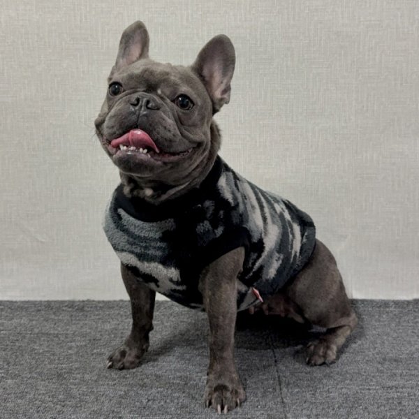 画像44: フレブル 服 フレンチブルドッグ  フリース 柄 袖なし Tシャツ 冬 L XL 2XL 3XL 4XL 5XL イングリッシュブルドッグ  パグ ペット服 犬服 フレブル  即日発送出来ます (44)