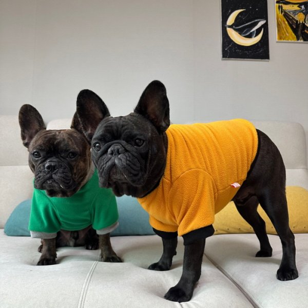 画像28: フレブル 服 フレンチブルドッグ  フリース 無地 長袖 Tシャツ 冬 L XL 2XL 3XL 4XL 5XL イングリッシュブルドッグ  パグ ペット服 犬服 フレブル  即日発送出来ます (28)