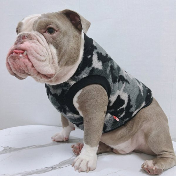 画像41: フレブル 服 フレンチブルドッグ  フリース 柄 袖なし Tシャツ 冬 L XL 2XL 3XL 4XL 5XL イングリッシュブルドッグ  パグ ペット服 犬服 フレブル  即日発送出来ます (41)