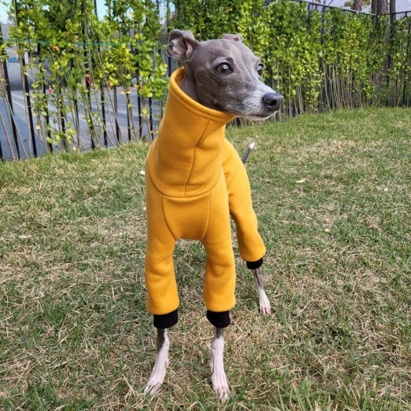 画像39: イタグレ  S M L XL 2XL 3XL  裏起毛 無地  ロンパース つなぎ 小型犬 中型犬 大型犬 春 秋 冬服 doggystar ドッギースター 企画商品 特別 価格  即日発送できます。 (39)