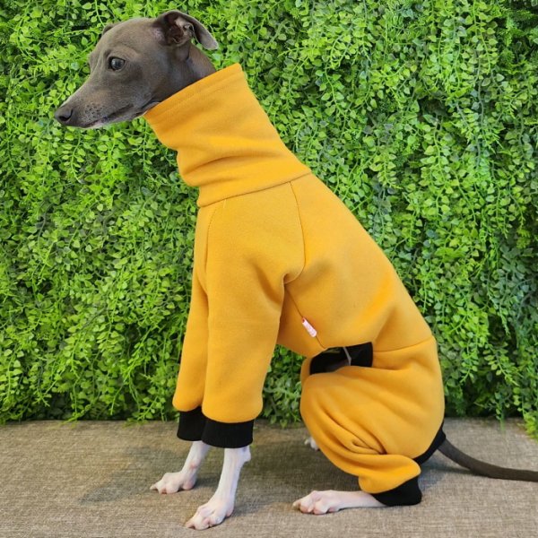 画像37: イタグレ  S M L XL 2XL 3XL  裏起毛 無地  ロンパース つなぎ 小型犬 中型犬 大型犬 春 秋 冬服 doggystar ドッギースター 企画商品 特別 価格  即日発送できます。 (37)