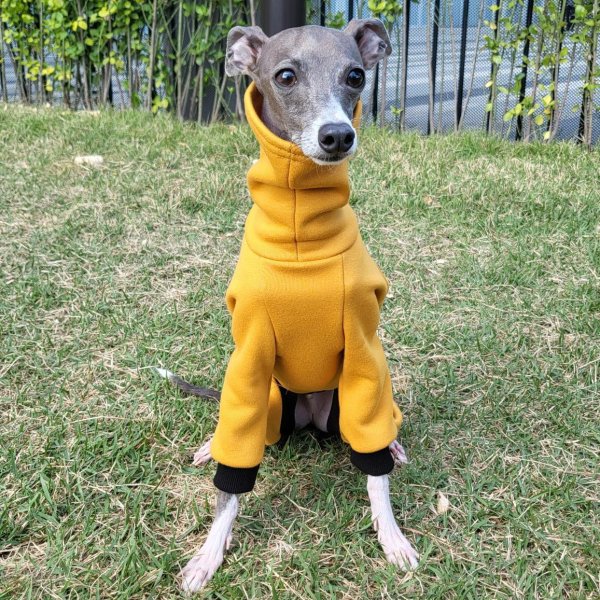 画像38: イタグレ  S M L XL 2XL 3XL  裏起毛 無地  ロンパース つなぎ 小型犬 中型犬 大型犬 春 秋 冬服 doggystar ドッギースター 企画商品 特別 価格  即日発送できます。 (38)