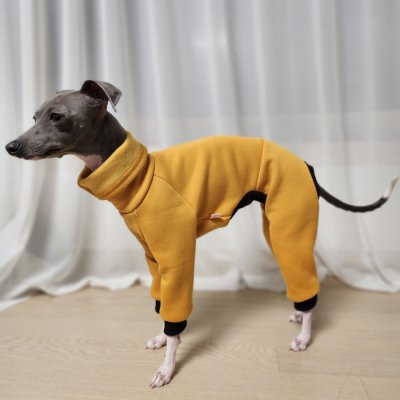 画像1: イタグレ  S M L XL 2XL 3XL  裏起毛 無地  ロンパース つなぎ 小型犬 中型犬 大型犬 春 秋 冬服 doggystar ドッギースター 企画商品 特別 価格  即日発送できます。