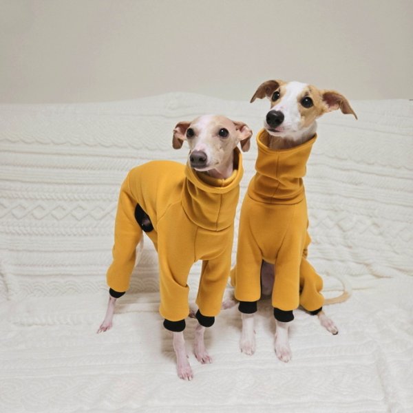 画像35: イタグレ  S M L XL 2XL 3XL  裏起毛 無地  ロンパース つなぎ 小型犬 中型犬 大型犬 春 秋 冬服 doggystar ドッギースター 企画商品 特別 価格  即日発送できます。 (35)