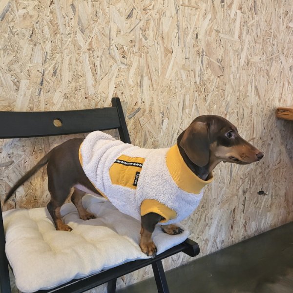 画像10: ダックスフンド 服 Tシャツ ポケットボア 小型犬 中型犬 S M L XL 冬 ダックス おしゃれ 犬 洋服 doggystar ドッギースター 即日発送出来ます (10)
