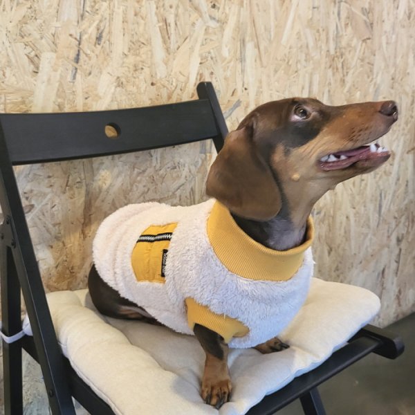 画像7: ダックスフンド 服 Tシャツ ポケットボア 小型犬 中型犬 S M L XL 冬 ダックス おしゃれ 犬 洋服 doggystar ドッギースター 即日発送出来ます (7)