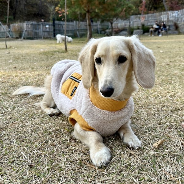 画像8: ダックスフンド 服 Tシャツ ポケットボア 小型犬 中型犬 S M L XL 冬 ダックス おしゃれ 犬 洋服 doggystar ドッギースター 即日発送出来ます (8)