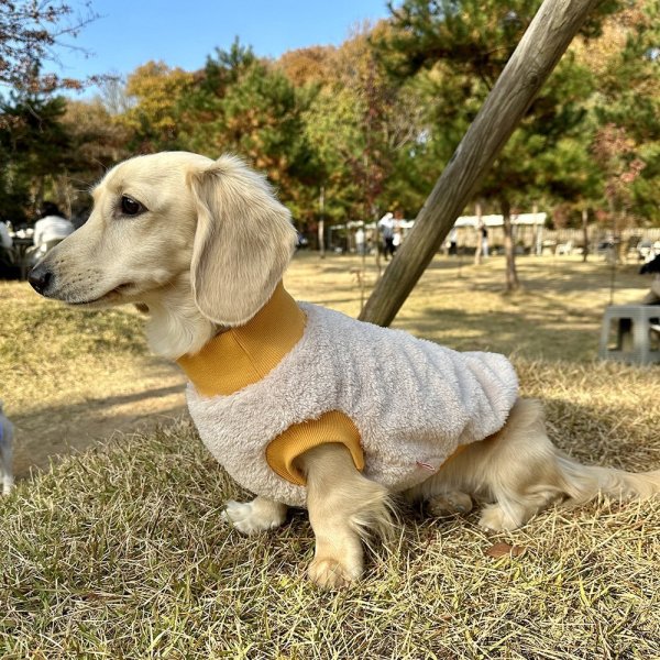 画像12: ダックスフンド 服 Tシャツ ポケットボア 小型犬 中型犬 S M L XL 冬 ダックス おしゃれ 犬 洋服 doggystar ドッギースター 即日発送出来ます (12)