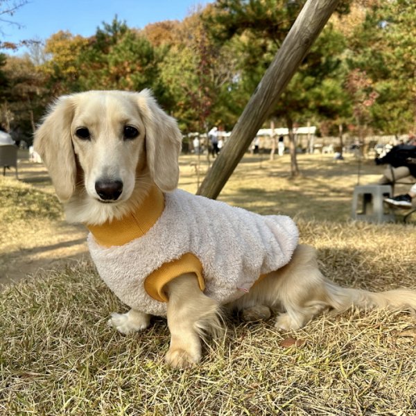 画像9: ダックスフンド 服 Tシャツ ポケットボア 小型犬 中型犬 S M L XL 冬 ダックス おしゃれ 犬 洋服 doggystar ドッギースター 即日発送出来ます (9)