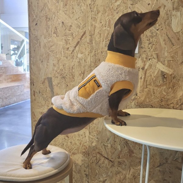 画像11: ダックスフンド 服 Tシャツ ポケットボア 小型犬 中型犬 S M L XL 冬 ダックス おしゃれ 犬 洋服 doggystar ドッギースター 即日発送出来ます (11)