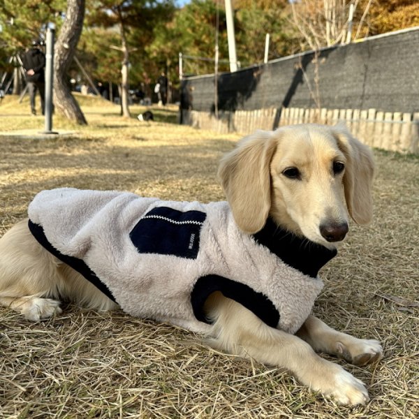 画像19: ダックスフンド 服 Tシャツ ポケットボア 小型犬 中型犬 S M L XL 冬 ダックス おしゃれ 犬 洋服 doggystar ドッギースター 即日発送出来ます (19)