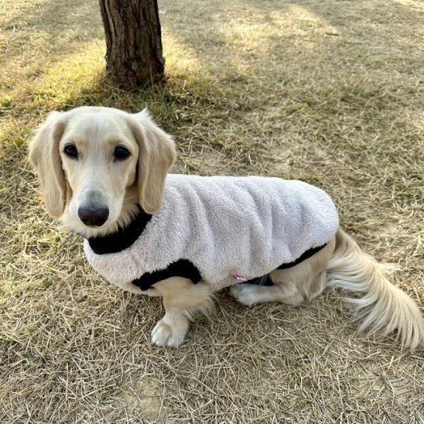 画像21: ダックスフンド 服 Tシャツ ポケットボア 小型犬 中型犬 S M L XL 冬 ダックス おしゃれ 犬 洋服 doggystar ドッギースター 即日発送出来ます (21)