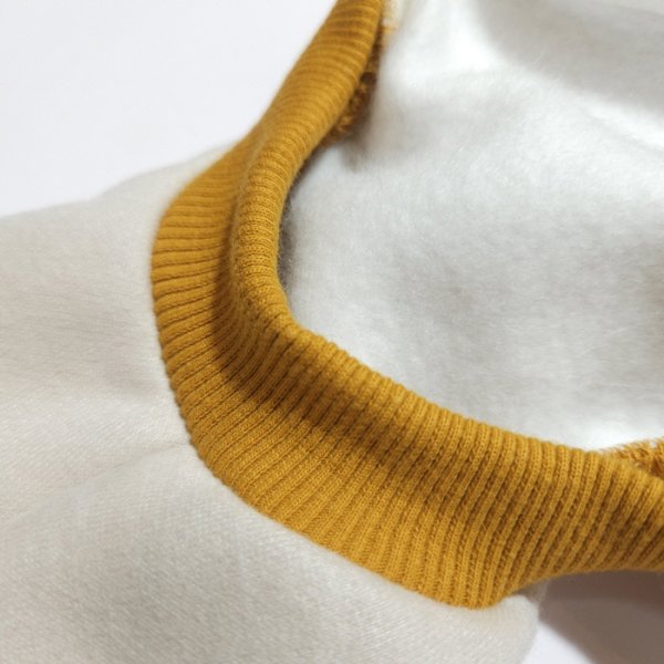 画像8: イタグレ  S M L XL 2XL 3XL  裏起毛 無地  ロンパース つなぎ 小型犬 中型犬 大型犬 春 秋 冬服 doggystar ドッギースター 企画商品 特別 価格  即日発送できます。 (8)