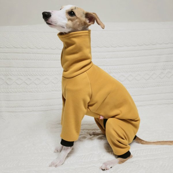 画像43: イタグレ  S M L XL 2XL 3XL  裏起毛 無地  ロンパース つなぎ 小型犬 中型犬 大型犬 春 秋 冬服 doggystar ドッギースター 企画商品 特別 価格  即日発送できます。 (43)