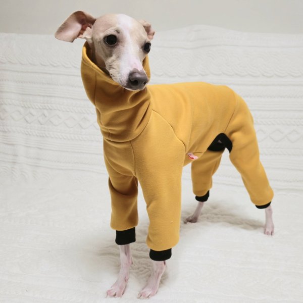 画像44: イタグレ  S M L XL 2XL 3XL  裏起毛 無地  ロンパース つなぎ 小型犬 中型犬 大型犬 春 秋 冬服 doggystar ドッギースター 企画商品 特別 価格  即日発送できます。 (44)