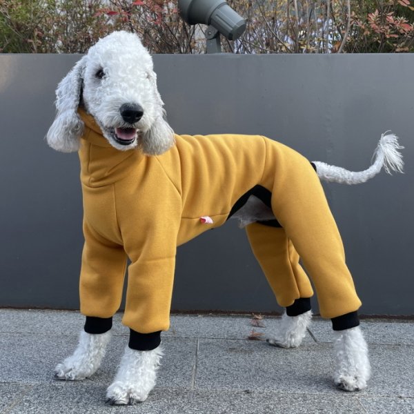 画像45: イタグレ  S M L XL 2XL 3XL  裏起毛 無地  ロンパース つなぎ 小型犬 中型犬 大型犬 春 秋 冬服 doggystar ドッギースター 企画商品 特別 価格  即日発送できます。 (45)