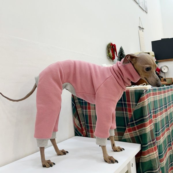 画像14: イタグレ  S M L XL 2XL 3XL  裏起毛 無地  ロンパース つなぎ 小型犬 中型犬 大型犬 春 秋 冬服 doggystar ドッギースター 企画商品 特別 価格  即日発送できます。 (14)