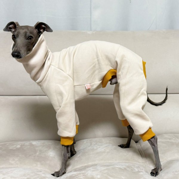 画像9: イタグレ  S M L XL 2XL 3XL  裏起毛 無地  ロンパース つなぎ 小型犬 中型犬 大型犬 春 秋 冬服 doggystar ドッギースター 企画商品 特別 価格  即日発送できます。 (9)