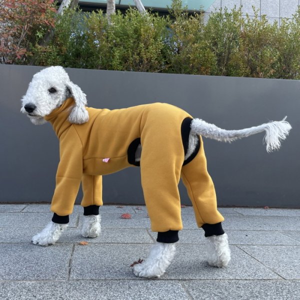 画像46: イタグレ  S M L XL 2XL 3XL  裏起毛 無地  ロンパース つなぎ 小型犬 中型犬 大型犬 春 秋 冬服 doggystar ドッギースター 企画商品 特別 価格  即日発送できます。 (46)