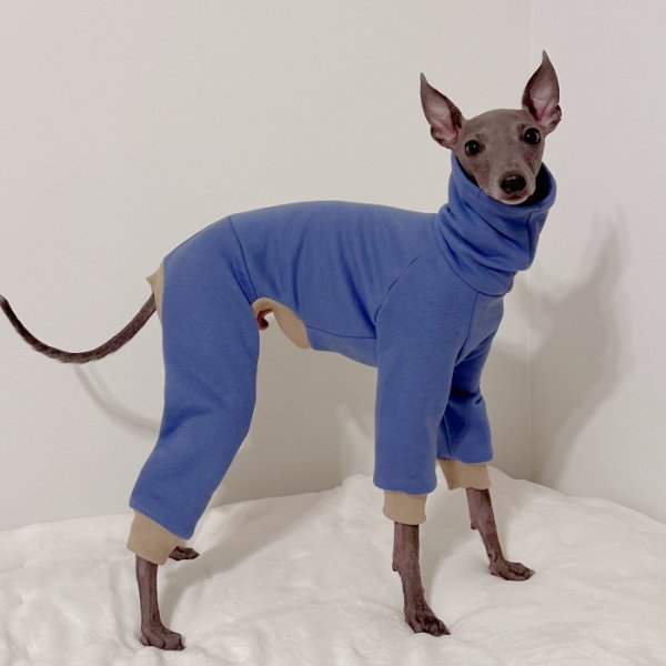 画像28: イタグレ  S M L XL 2XL 3XL  裏起毛 無地  ロンパース つなぎ 小型犬 中型犬 大型犬 春 秋 冬服 doggystar ドッギースター 企画商品 特別 価格  即日発送できます。 (28)