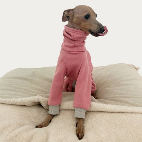 画像15: イタグレ  S M L XL 2XL 3XL  裏起毛 無地  ロンパース つなぎ 小型犬 中型犬 大型犬 春 秋 冬服 doggystar ドッギースター 企画商品 特別 価格  即日発送できます。 (15)