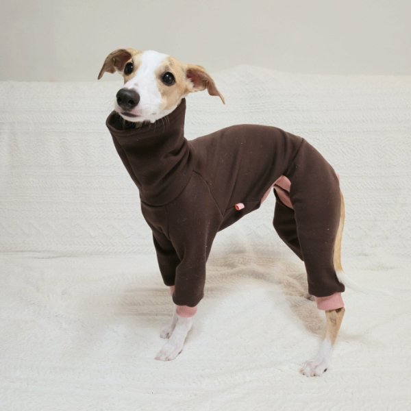 画像21: イタグレ  S M L XL 2XL 3XL  裏起毛 無地  ロンパース つなぎ 小型犬 中型犬 大型犬 春 秋 冬服 doggystar ドッギースター 企画商品 特別 価格  即日発送できます。 (21)