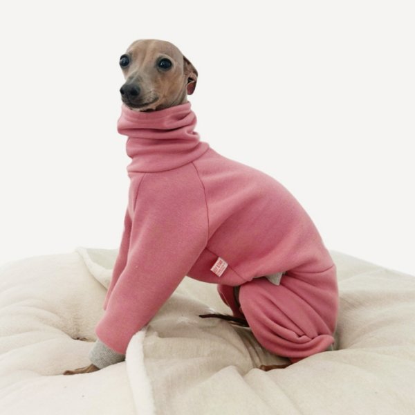 画像16: イタグレ  S M L XL 2XL 3XL  裏起毛 無地  ロンパース つなぎ 小型犬 中型犬 大型犬 春 秋 冬服 doggystar ドッギースター 企画商品 特別 価格  即日発送できます。 (16)