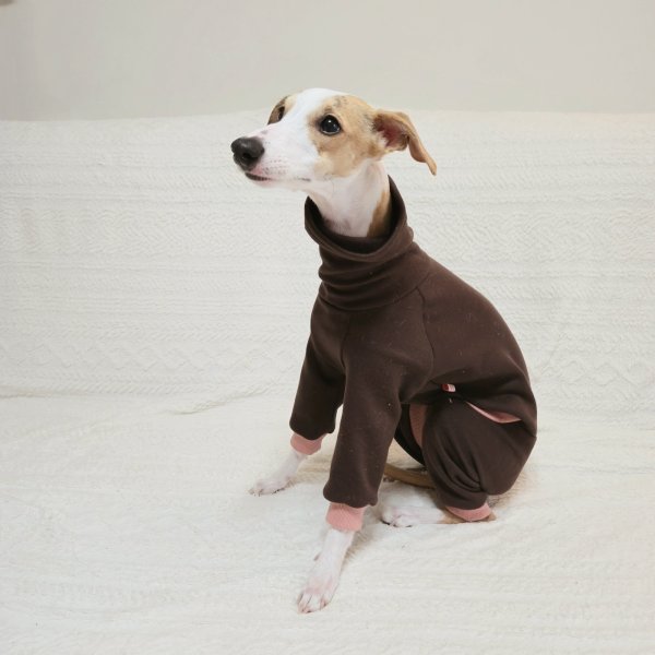 画像23: イタグレ  S M L XL 2XL 3XL  裏起毛 無地  ロンパース つなぎ 小型犬 中型犬 大型犬 春 秋 冬服 doggystar ドッギースター 企画商品 特別 価格  即日発送できます。 (23)