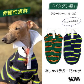 イタリアングレーハウンド服S M L XL 2XL 3XL (イタグレ服