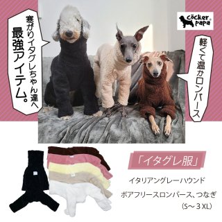 イタグレ　冬服　pintoo ホワイト ほぼ新品 イタグレ 冬服 pintoo ホワイト ほぼ新品 楽天市場】イタグレ 冬
