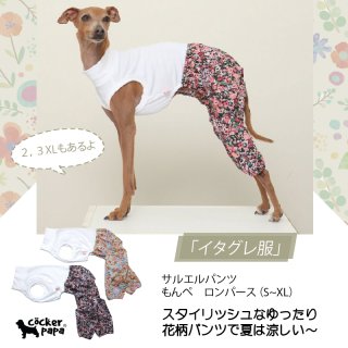 楽天市場】イタグレ ロンパースの通販