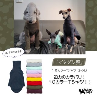 イタリアングレーハウンド服S M L XL 2XL 3XL (イタグレ服
