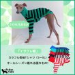 画像1: イタグレ 服 S M L XL 2XL 3XL カラフル 長袖ボーダーTシャツ 小型 犬 中型犬 大型犬 春 夏 秋 冬 doggystar ドッギースター 室内着 パジャマ 即日発送出来ます (1)