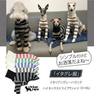 N品　イタグレ　L セット N品 イタグレ L セット 楽天市場】イタグレの通販