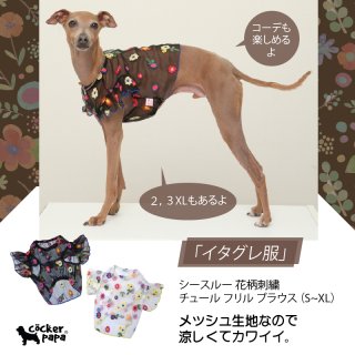 N品　イタグレ　L セット イタリアングレーハウンド ミニピン 服 秋 冬 イタグレ 犬服