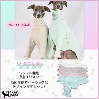 イタリアングレーハウンド服S M L XL 2XL 3XL (イタグレ服