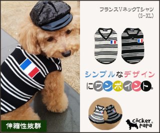犬服、インポートドッグウェアcockerpapa（コカパパ）,doggystar