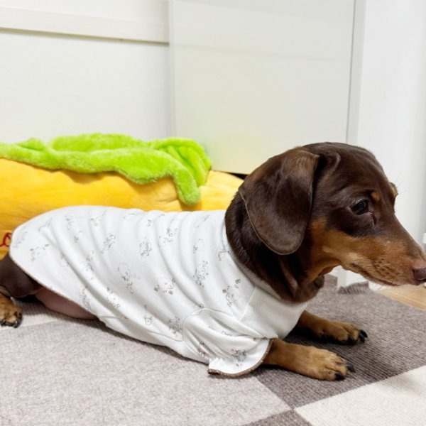 画像12: ダックスフンド 服 パジャマＴシャツ 小型犬 中型犬 S M L XL 春夏秋冬 ダックス おしゃれ 犬 洋服 doggystar ドッギースター 即日発送致します (12)