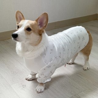 ウェルシュ コーギー 服 2XL 3XL 4XL 5XL (Welsh Corgi) - cocker papa