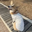 画像12: ウェルシュ コーギー 服 パジャマ Tシャツ 2XL 3XL 4XL 5XL中型犬 大型犬 春夏秋冬 コーギー おしゃれ 犬服 doggystar ドッギースター 即日発送致します (12)