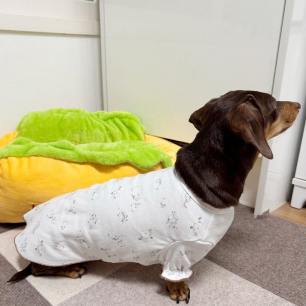 画像13: ダックスフンド 服 パジャマＴシャツ 小型犬 中型犬 S M L XL 春夏秋冬 ダックス おしゃれ 犬 洋服 doggystar ドッギースター 即日発送致します (13)