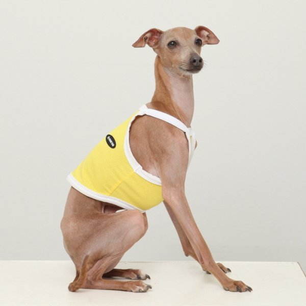 画像16: イタグレ服 S M L XL 2XL 3XL 接触冷感 クール ひんやり クロップド タンクトップ スポーツ 小型犬 中型犬 大型犬 夏 doggystar ドッギースター 即日発送出来ます (16)