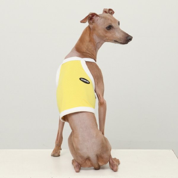 画像18: イタグレ服 S M L XL 2XL 3XL 接触冷感 クール ひんやり クロップド タンクトップ スポーツ 小型犬 中型犬 大型犬 夏 doggystar ドッギースター 即日発送出来ます (18)