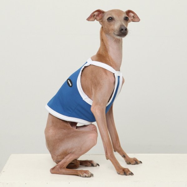 画像39: イタグレ服 S M L XL 2XL 3XL 接触冷感 クール ひんやり クロップド タンクトップ スポーツ 小型犬 中型犬 大型犬 夏 doggystar ドッギースター 即日発送出来ます (39)
