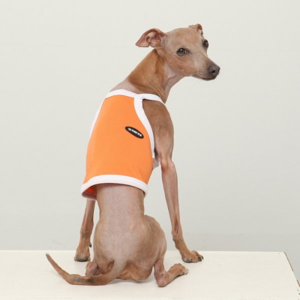 画像6: イタグレ服 S M L XL 2XL 3XL 接触冷感 クール ひんやり クロップド タンクトップ スポーツ 小型犬 中型犬 大型犬 夏 doggystar ドッギースター 即日発送出来ます (6)