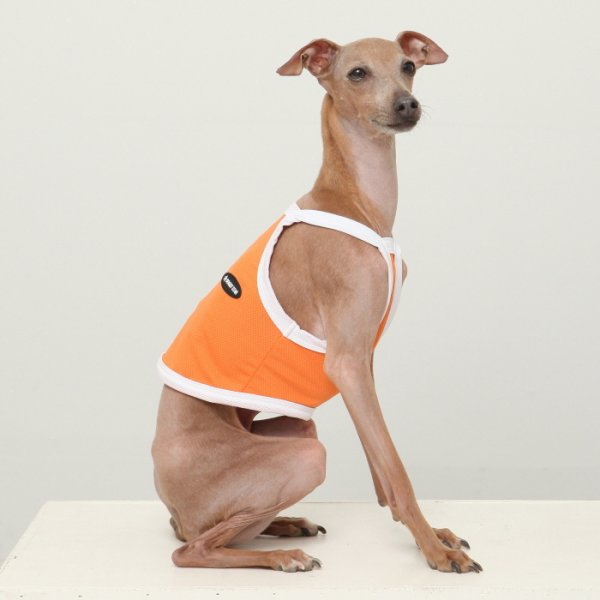 画像3: イタグレ服 S M L XL 2XL 3XL 接触冷感 クール ひんやり クロップド タンクトップ スポーツ 小型犬 中型犬 大型犬 夏 doggystar ドッギースター 即日発送出来ます (3)