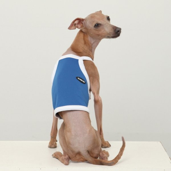 画像40: イタグレ服 S M L XL 2XL 3XL 接触冷感 クール ひんやり クロップド タンクトップ スポーツ 小型犬 中型犬 大型犬 夏 doggystar ドッギースター 即日発送出来ます (40)